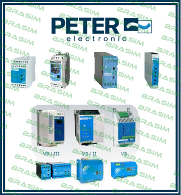 Peter Electronic logo