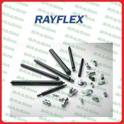 Rayflex logo