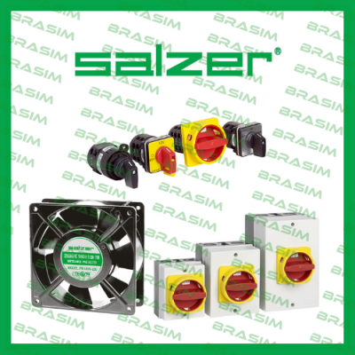 Salzer logo