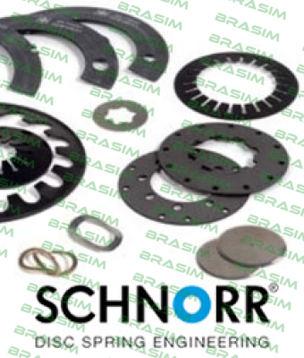 Schnorr logo