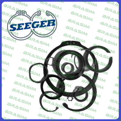 Seeger Orbis logo