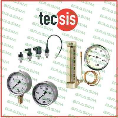 Tecsis (WIKA Group) logo