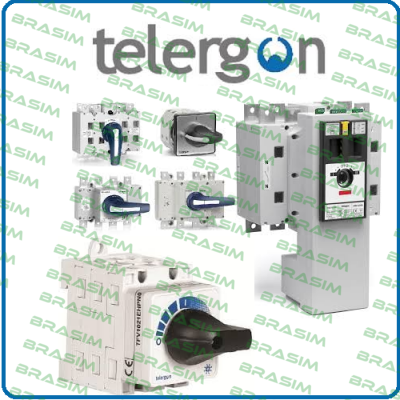 Telergon logo