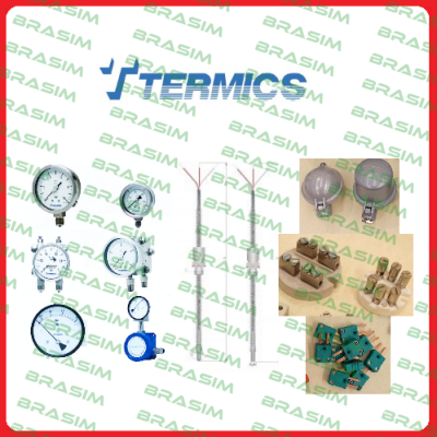 Termics logo