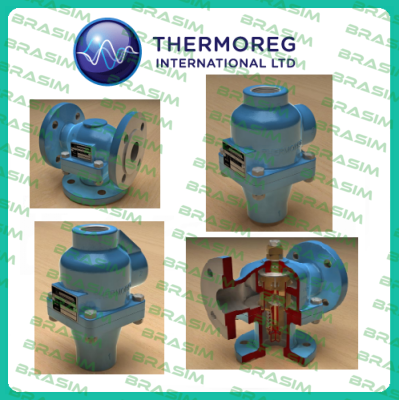 Thermoreg logo