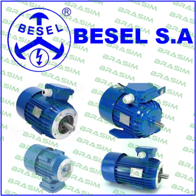BESEL S.A. logo