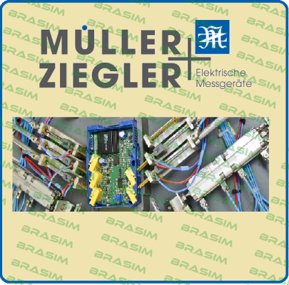 Ziegler logo