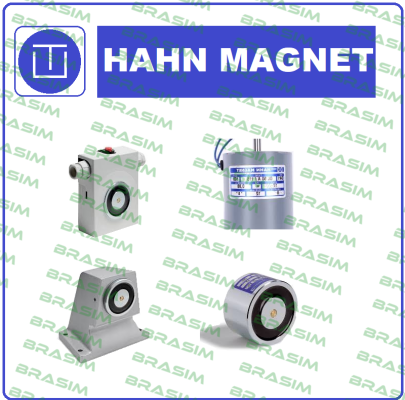 HAHN-MAGNET (Kendrion) logo