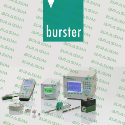 Burster logo
