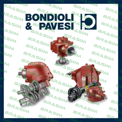 Bondioli & Pavesi logo