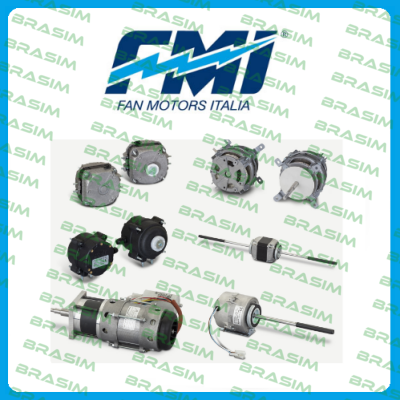 FMI Fan Motors Italia Srl logo