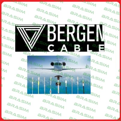 Bergen Cable Technology Llc logo