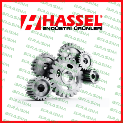 Hassel logo