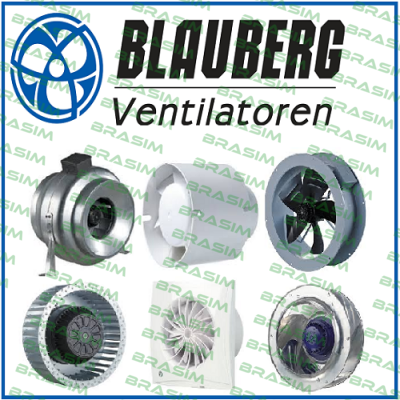 Blauberg logo