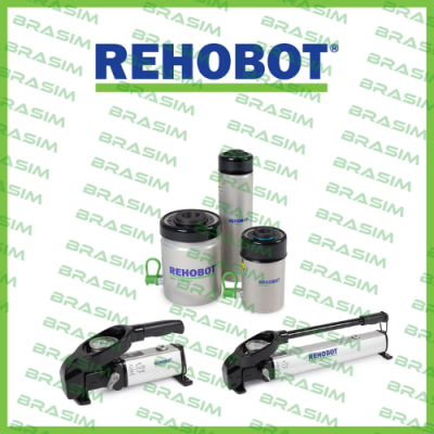 Rehobot logo