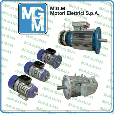 M.G.M MOTORI logo