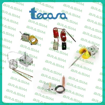 Tecasa logo