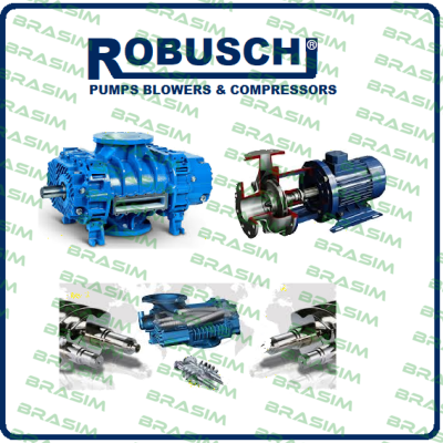 Robuschi logo