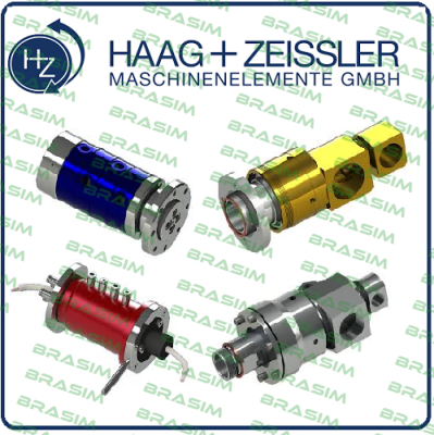 Haag Zeissler logo