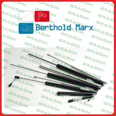 Berthold Marx logo