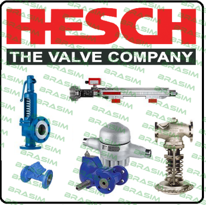 Hesch logo