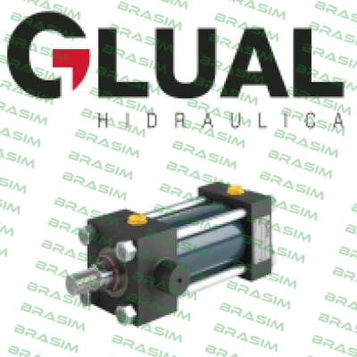 Glual Hydraulics logo