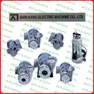 SHIN KANG ELECTRIC MACHINE logo