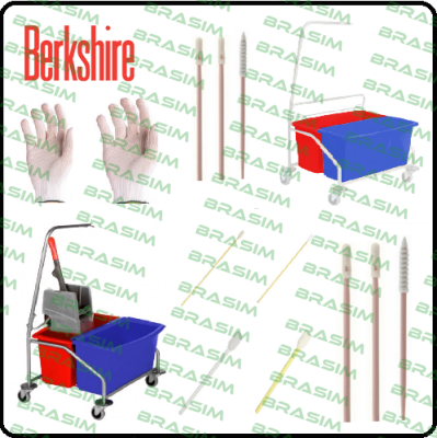 Berkshire logo