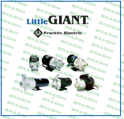 Little Giant logo