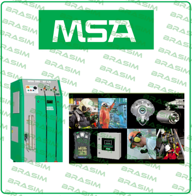 Msa logo