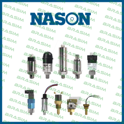 Nason logo