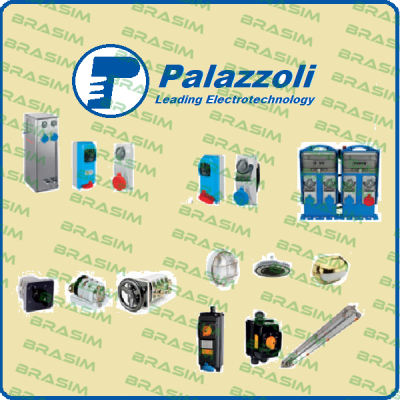 Palazzoli logo