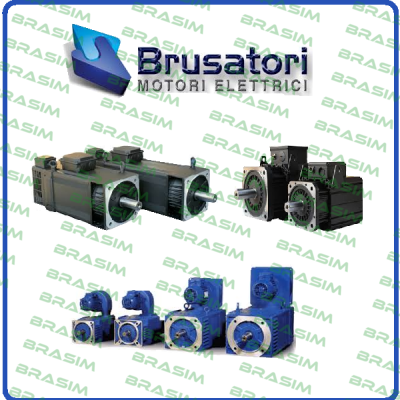 Brusatori-052302  SERIAL 29434/01  1,13 / 4 NM, 3000 MIN1  VN:172 V, 4,71 A  ISOL.-KL. F, IP.54, BAUFORM: II/D  price