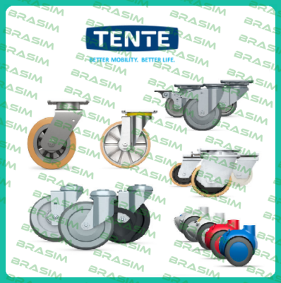 Tente-2970 DIK 075 P50  price