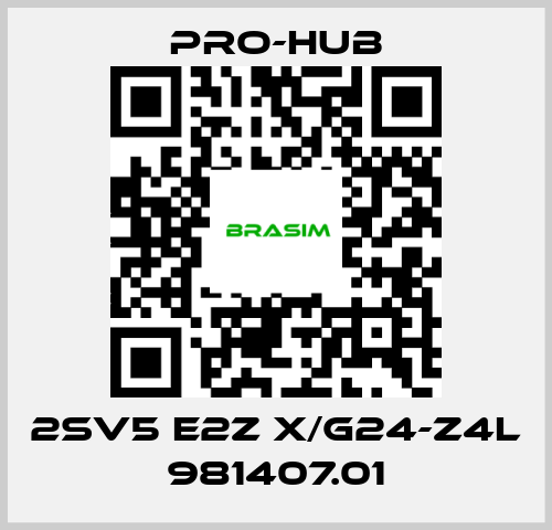 Pro-Hub-2SV5 E2Z X/G24-Z4L 981407.01 price