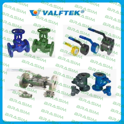 Valftek-3" MONITOR MOUNTING FLANGE PN16  price