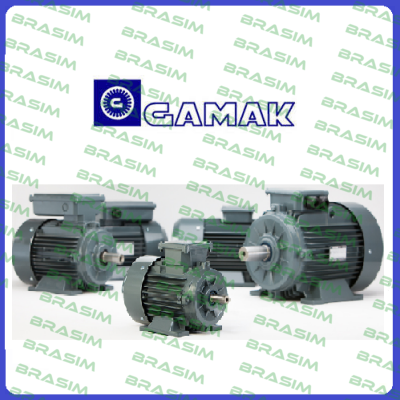 Gamak-AGM2E802A-only motor  price