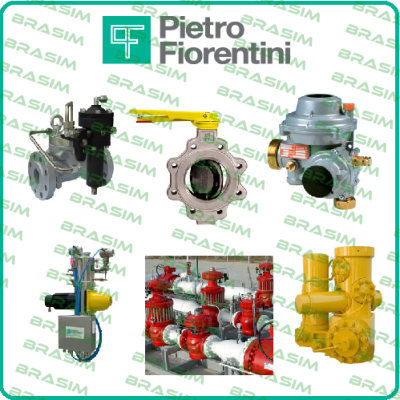 Pietro Fiorentini-REFLUX 819 ANSI600 DN 25  7009042 price