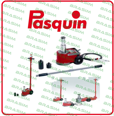 Pasquin-P 304 S  price