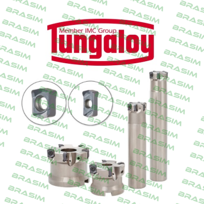 Tungaloy-16ER AG60 19 0917 0300 price