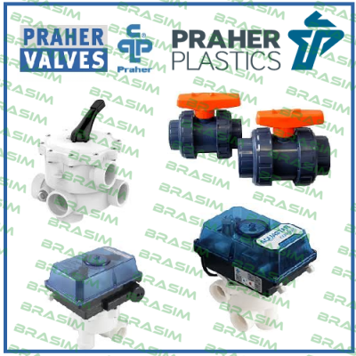 Praher-S5/10 Obsolete!! Replaced by 18021PVCARM  price