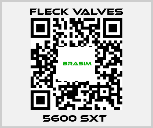 Fleck Valves-5600 sxt  price