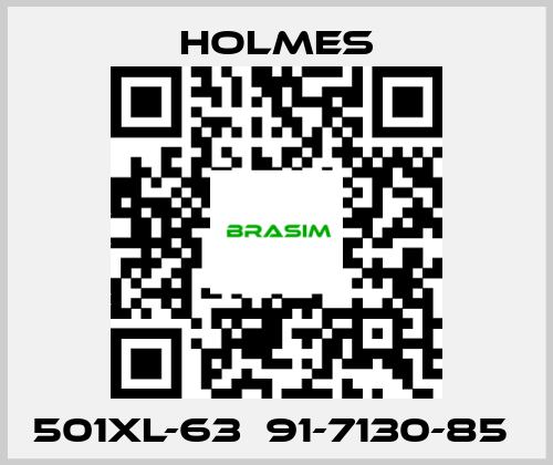 Holmes-501XL-63  91-7130-85  price