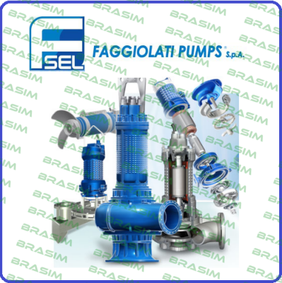 Faggiolati-6007801 GM19B409T1-4T6KA0  price