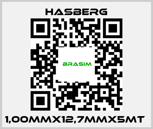 Hasberg-1,00MMX12,7MMX5MT  price