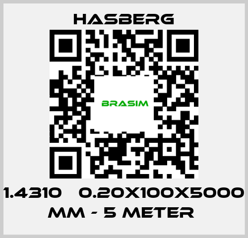 Hasberg-1.4310   0.20X100X5000 MM - 5 METER  price