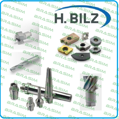 Hermann Bilz-10,0 AFA618883.0-23754  price