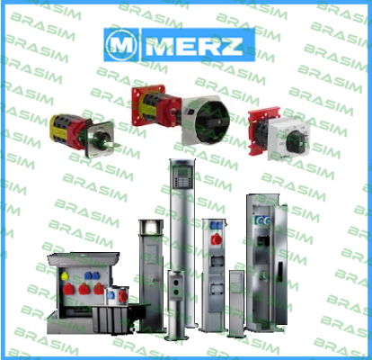 Merz-AC-21 50A 690V  price