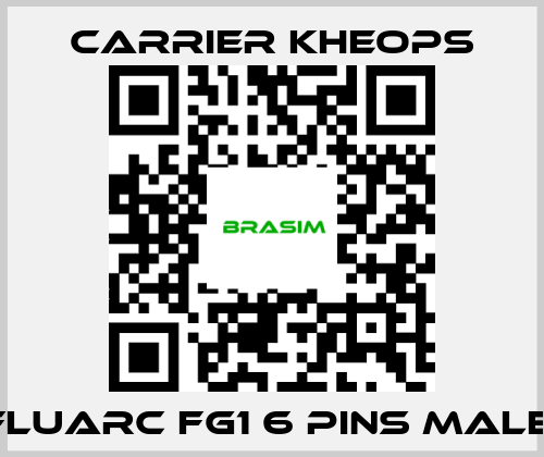 Carrier Kheops- Fluarc FG1 6 Pins Male  price