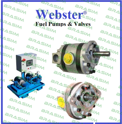 Webster-1SS7GX008, SS7P8-1364V CPVC 1 HP price